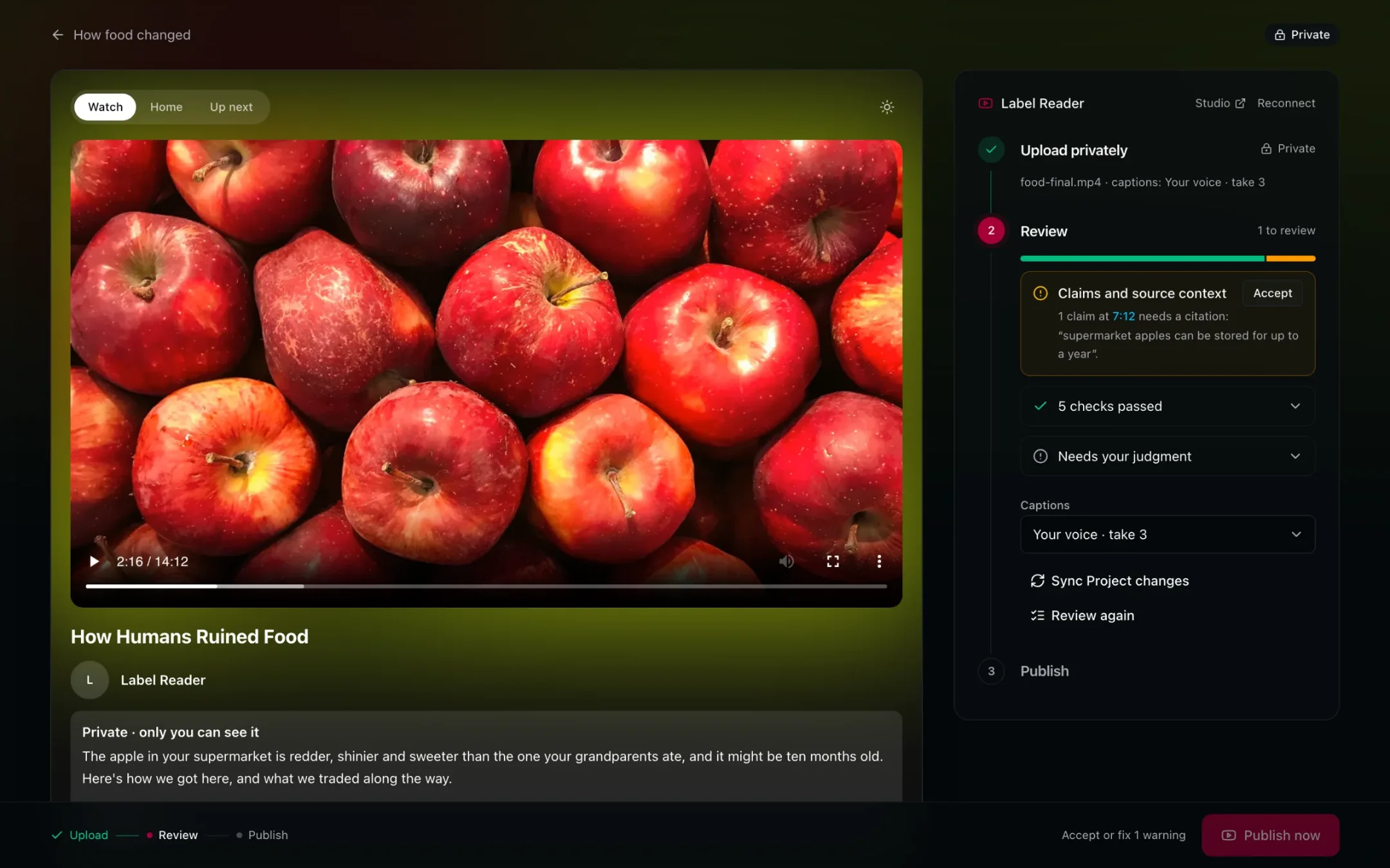 The Publish studio with the private upload's review, the video in a viewer's home feed, and Publish now
