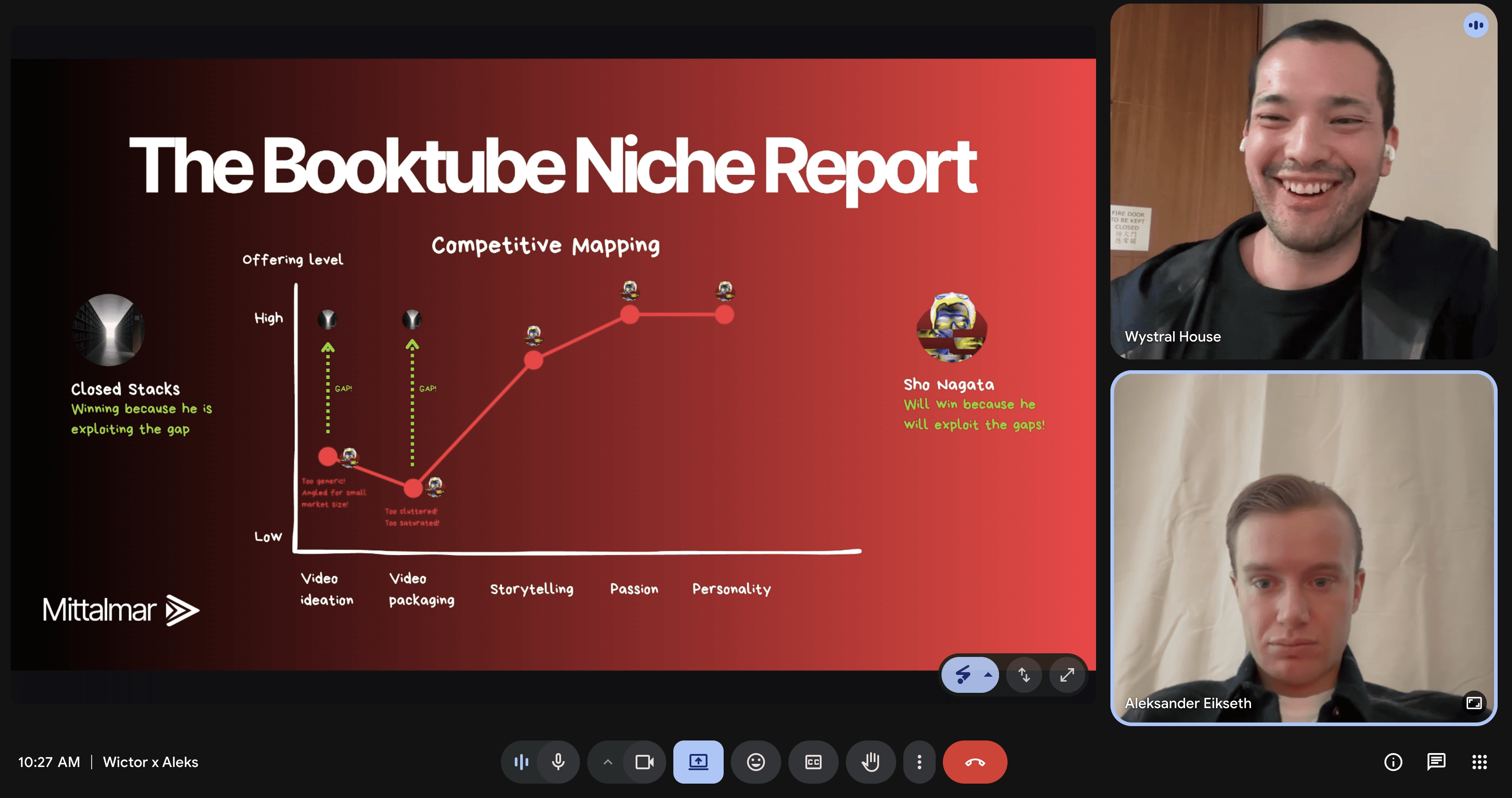 Consultation call showing The Booktube Niche Report