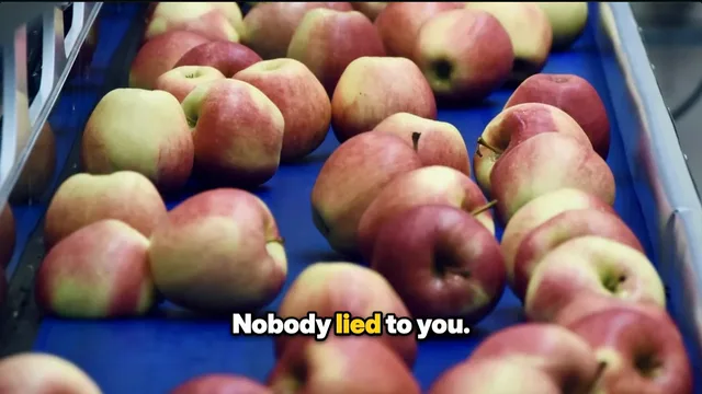 Apples on a sorting line, captioned Nobody lied to you.