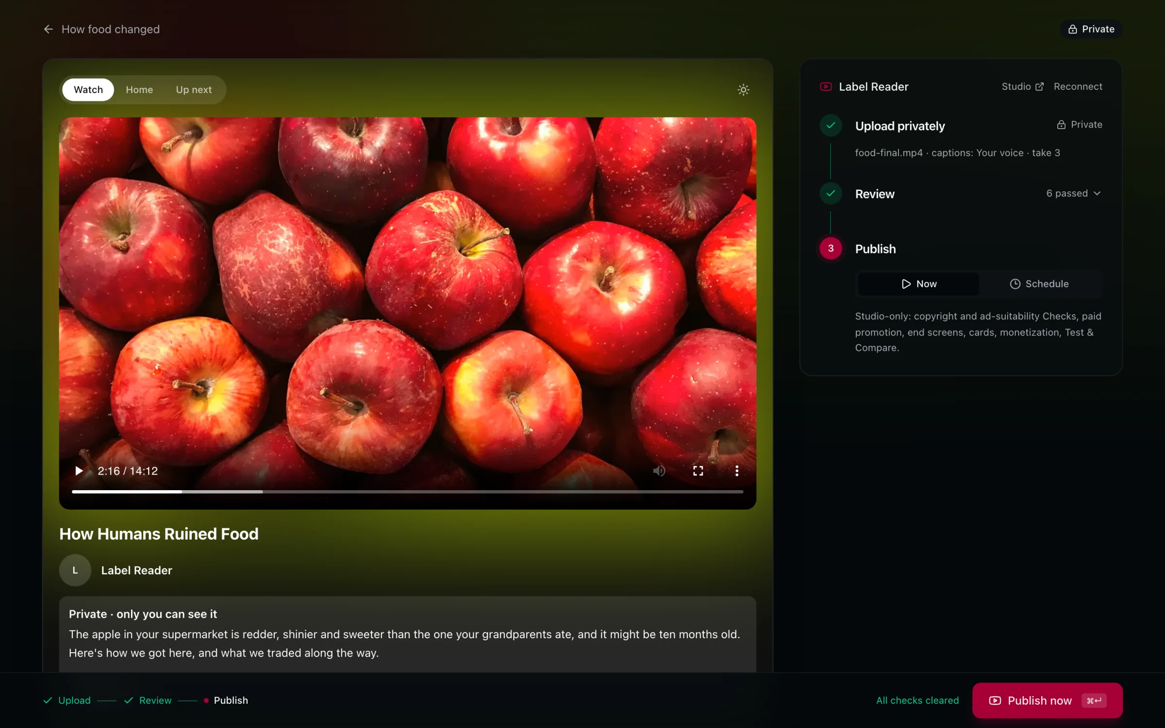 The private upload previewed on a YouTube watch page